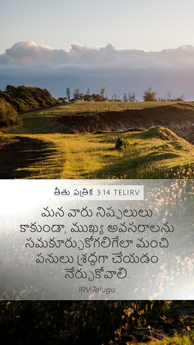 తీతు పత్రిక 3:14 TELIRV Bible Verse Image