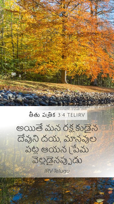 తీతు పత్రిక 3:4 TELIRV Bible Verse Image