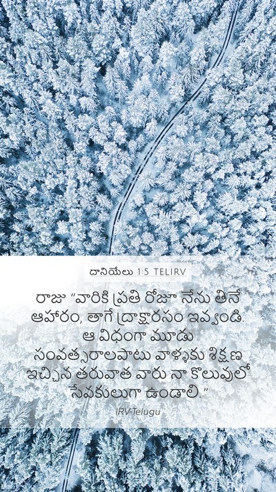 దానియేలు 1:5 TELIRV Bible Verse Image