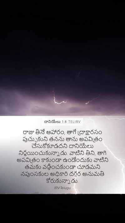 దానియేలు 1:8 TELIRV Bible Verse Image