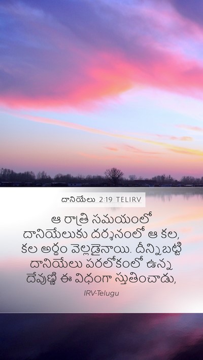 దానియేలు 2:19 TELIRV Bible Verse Image