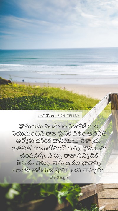 దానియేలు 2:24 TELIRV Mobile Phone Wallpaper - జ్ఞానులను - Mobile Bible Verse Wallpaper