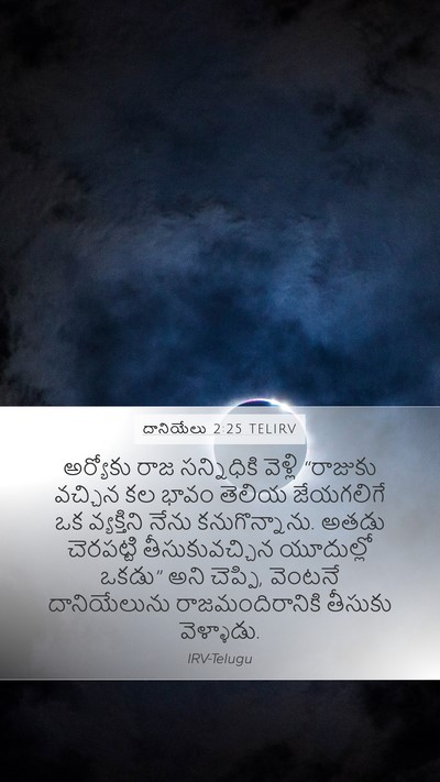 దానియేలు 2:25 TELIRV Bible Verse Image