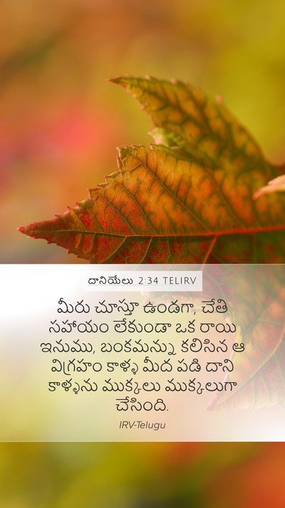 దానియేలు 2:34 TELIRV Bible Verse Image