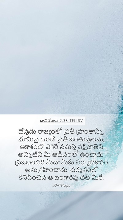 దానియేలు 2:38 TELIRV Bible Verse Image