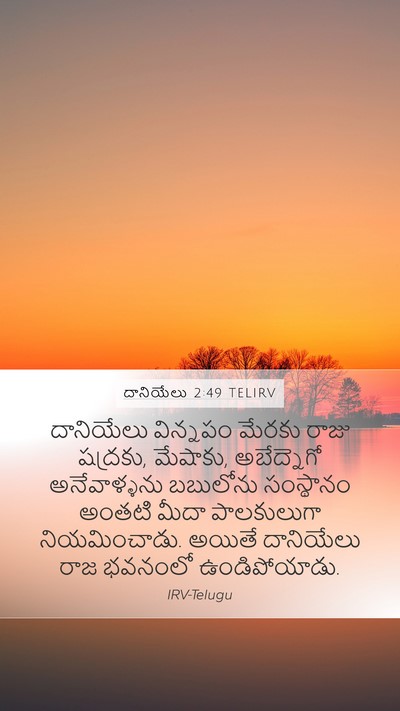 దానియేలు 2:49 TELIRV Bible Verse Image