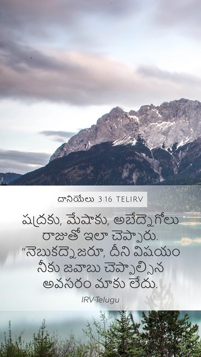 దానియేలు 3:16 TELIRV Bible Verse Image
