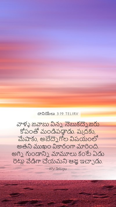 దానియేలు 3:19 TELIRV Bible Verse Image