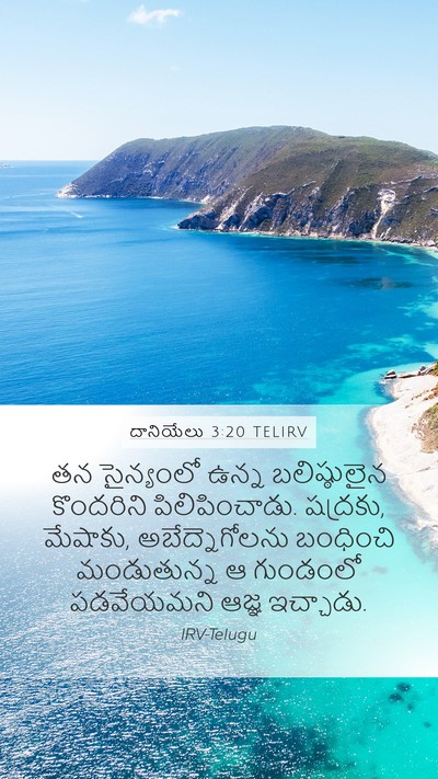 దానియేలు 3:20 TELIRV Bible Verse Image