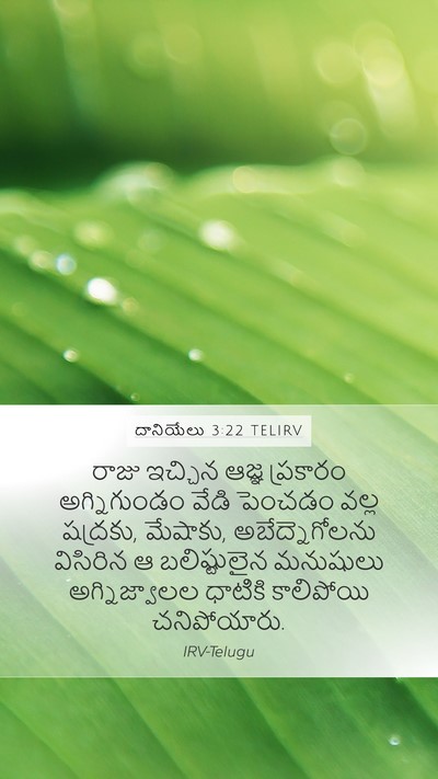 దానియేలు 3:22 TELIRV Mobile Phone Wallpaper - రాజు ఇచ్చిన ఆజ్ఞ - Mobile Bible Verse Wallpaper
