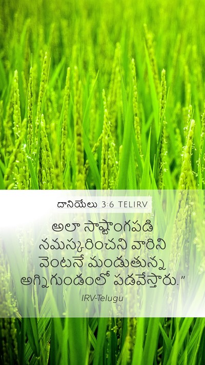 దానియేలు 3:6 TELIRV Bible Verse Image
