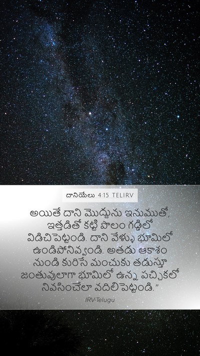 దానియేలు 4:15 TELIRV Bible Verse Image