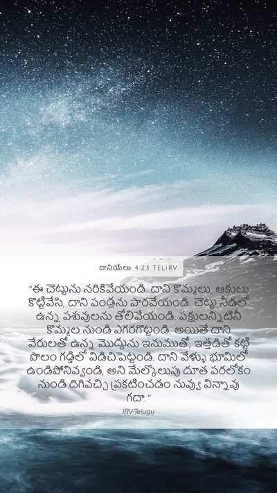 దానియేలు 4:23 TELIRV Bible Verse Image