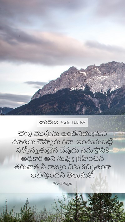 దానియేలు 4:26 TELIRV Mobile Phone Wallpaper - చెట్టు మొద్దును - Mobile Bible Verse Wallpaper