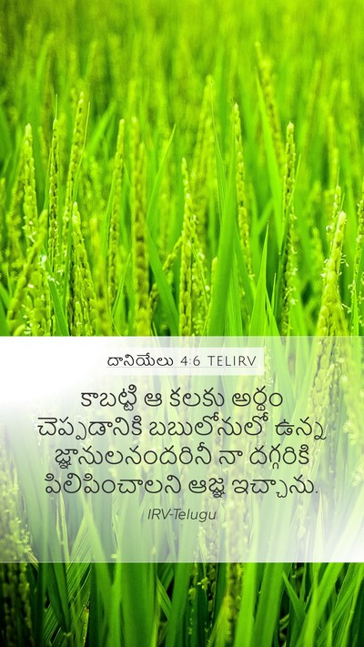 దానియేలు 4:6 TELIRV Bible Verse Image