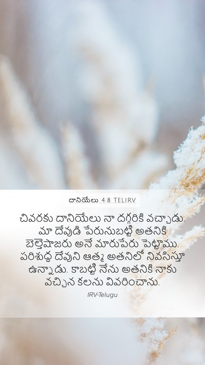 దానియేలు 4:8 TELIRV Bible Verse Image