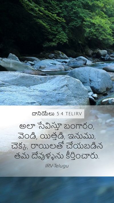 దానియేలు 5:4 TELIRV Bible Verse Image