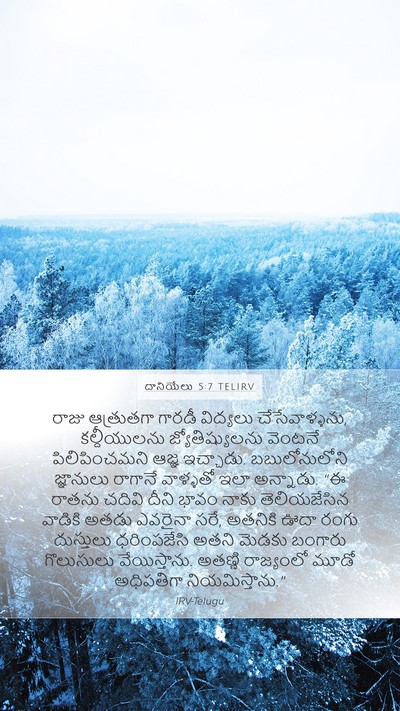 దానియేలు 5:7 TELIRV Bible Verse Image