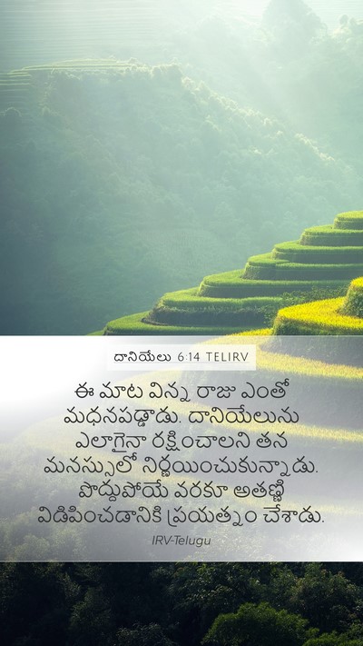 దానియేలు 6:14 TELIRV Bible Verse Image