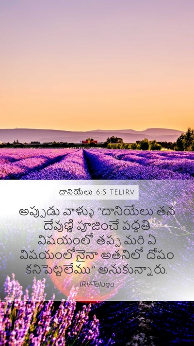 దానియేలు 6:5 TELIRV Mobile Phone Wallpaper - అప్పుడు వాళ్ళు - Mobile Bible Verse Wallpaper