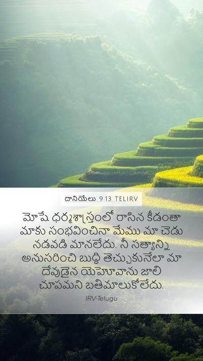 దానియేలు 9:13 TELIRV Bible Verse Image