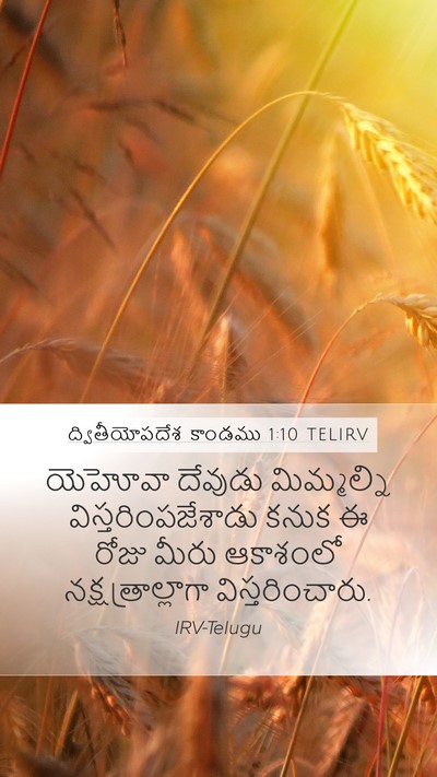ద్వితీయోపదేశ కాండము 1:10 TELIRV Bible Verse Image