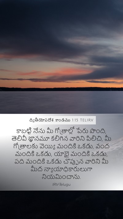 ద్వితీయోపదేశ కాండము 1:15 TELIRV Bible Verse Image