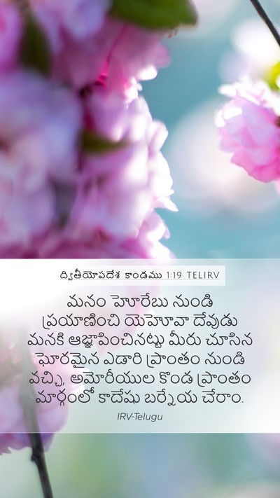ద్వితీయోపదేశ కాండము 1:19 TELIRV Bible Verse Image