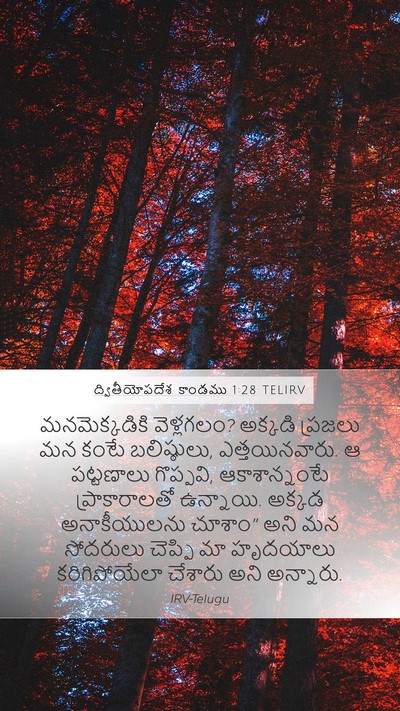 ద్వితీయోపదేశ కాండము 1:28 TELIRV Bible Verse Image