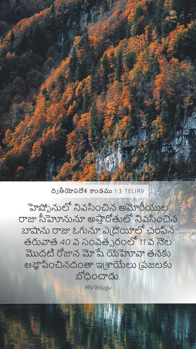 ద్వితీయోపదేశ కాండము 1:3 TELIRV Bible Verse Image