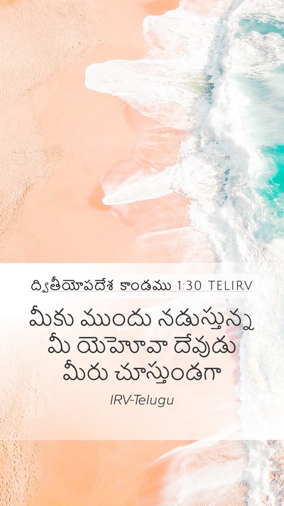 ద్వితీయోపదేశ కాండము 1:30 TELIRV Bible Verse Image