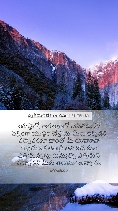 ద్వితీయోపదేశ కాండము 1:31 TELIRV Bible Verse Image