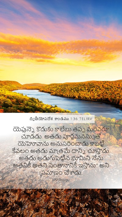 ద్వితీయోపదేశ కాండము 1:36 TELIRV Bible Verse Image
