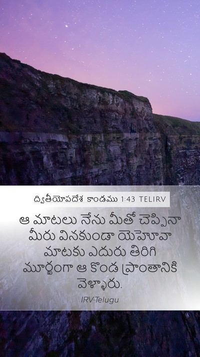 ద్వితీయోపదేశ కాండము 1:43 TELIRV Bible Verse Image