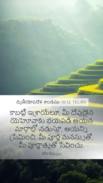 ద్వితీయోపదేశ కాండము 10:12 TELIRV Bible Verse Image