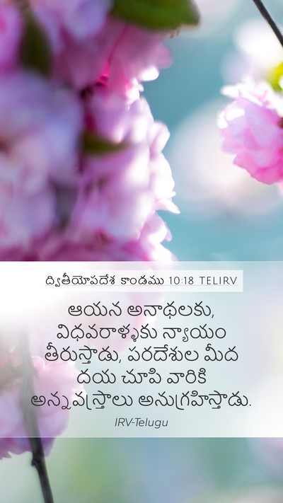 ద్వితీయోపదేశ కాండము 10:18 TELIRV Bible Verse Image