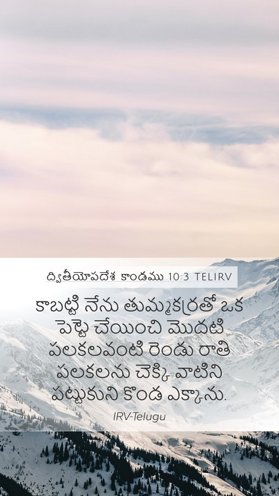 ద్వితీయోపదేశ కాండము 10:3 TELIRV Bible Verse Image