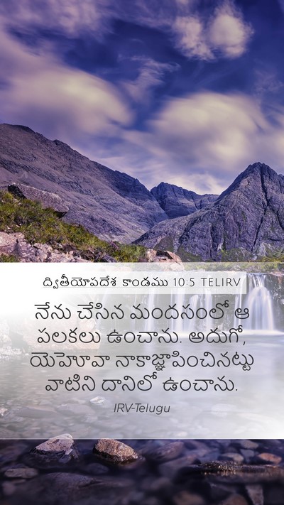 ద్వితీయోపదేశ కాండము 10:5 TELIRV Bible Verse Image