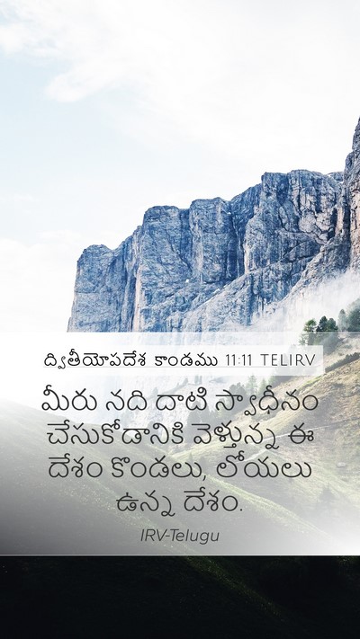 ద్వితీయోపదేశ కాండము 11:11 TELIRV Bible Verse Image