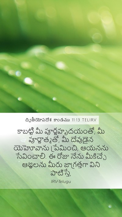 ద్వితీయోపదేశ కాండము 11:13 TELIRV Bible Verse Image