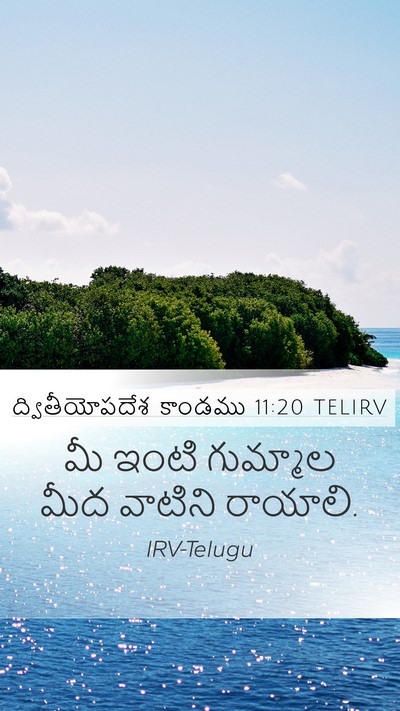 ద్వితీయోపదేశ కాండము 11:20 TELIRV Bible Verse Image