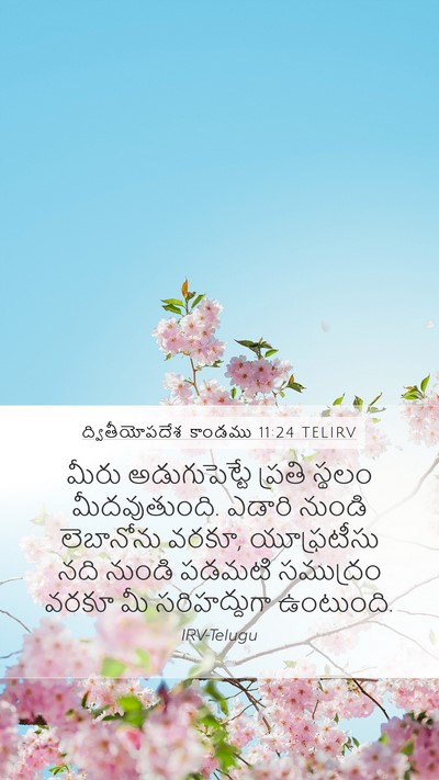 ద్వితీయోపదేశ కాండము 11:24 TELIRV Bible Verse Image