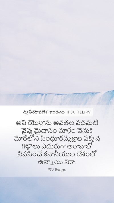 ద్వితీయోపదేశ కాండము 11:30 TELIRV Bible Verse Image