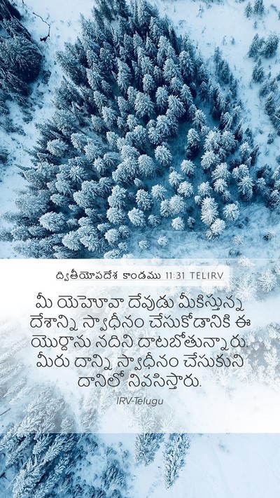 ద్వితీయోపదేశ కాండము 11:31 TELIRV Bible Verse Image