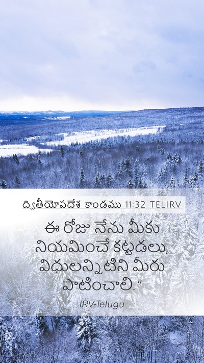 ద్వితీయోపదేశ కాండము 11:32 TELIRV Bible Verse Image