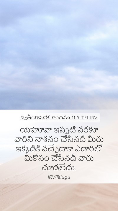 ద్వితీయోపదేశ కాండము 11:5 TELIRV Mobile Phone Wallpaper - యెహోవా ఇప్పటి - Mobile Bible Verse Wallpaper