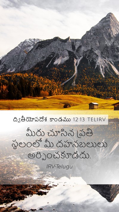 ద్వితీయోపదేశ కాండము 12:13 TELIRV Bible Verse Image