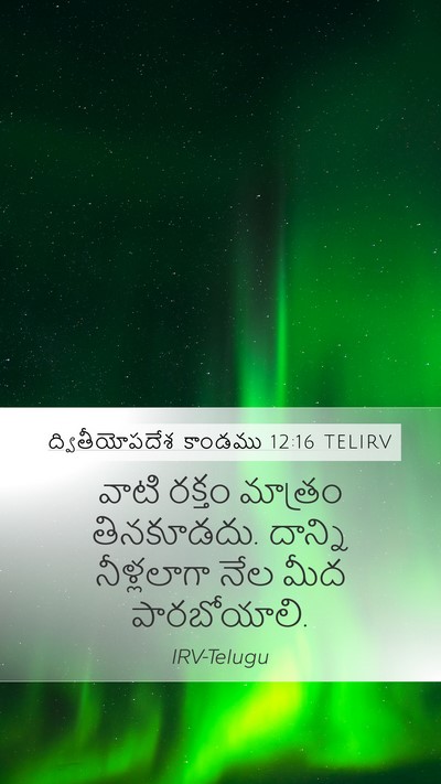 ద్వితీయోపదేశ కాండము 12:16 TELIRV Bible Verse Image