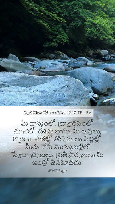 ద్వితీయోపదేశ కాండము 12:17 TELIRV Bible Verse Image
