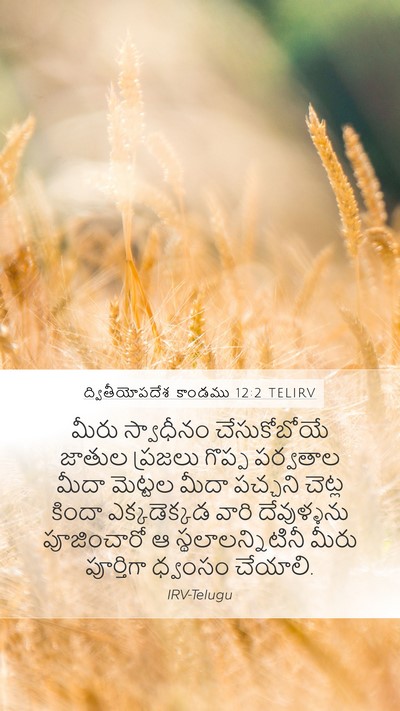 ద్వితీయోపదేశ కాండము 12:2 TELIRV Bible Verse Image